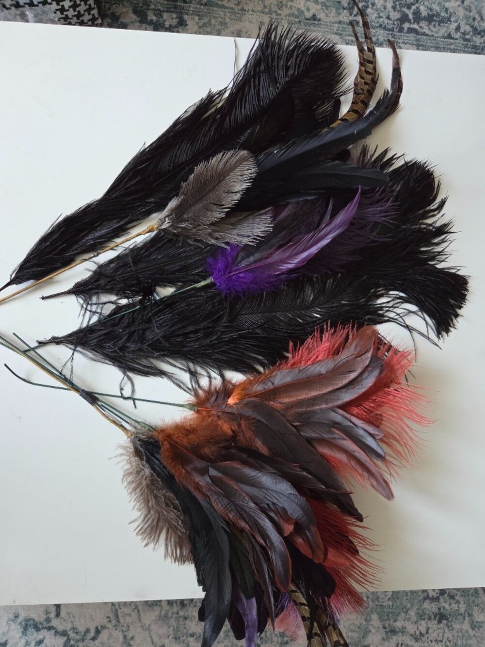 Colorful Rooster Tail Feathers for Craft or Decor